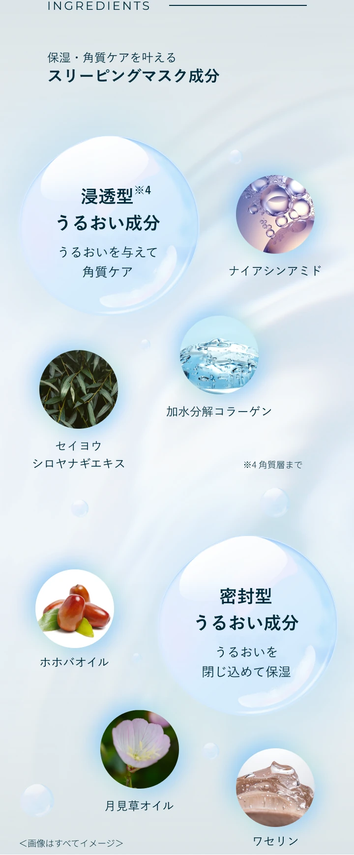 INGREDIENTS 保湿・角質ケアを叶えるスリーピングマスク成分。浸透型※4うるおい成分：ナイアシンアミド／加水分解コラーゲン／セイヨウシロヤナギエキス。密封型うるおい成分：ホホバオイル／月見草オイル／ワセリン。※4 角質層まで