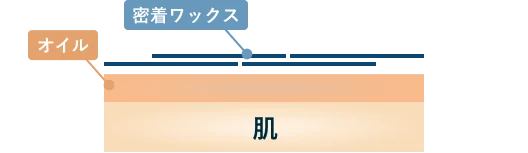 密着ワックス・オイル・肌の断面図